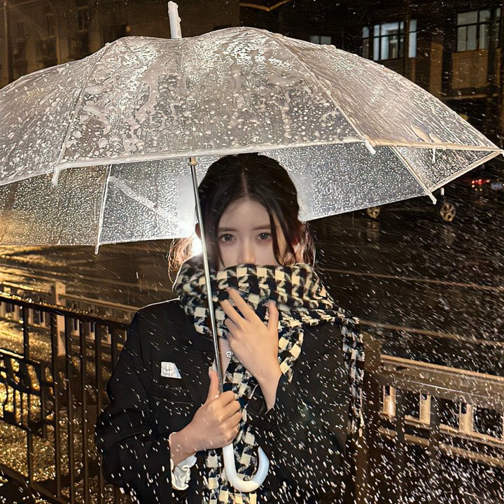 失踪少女名单